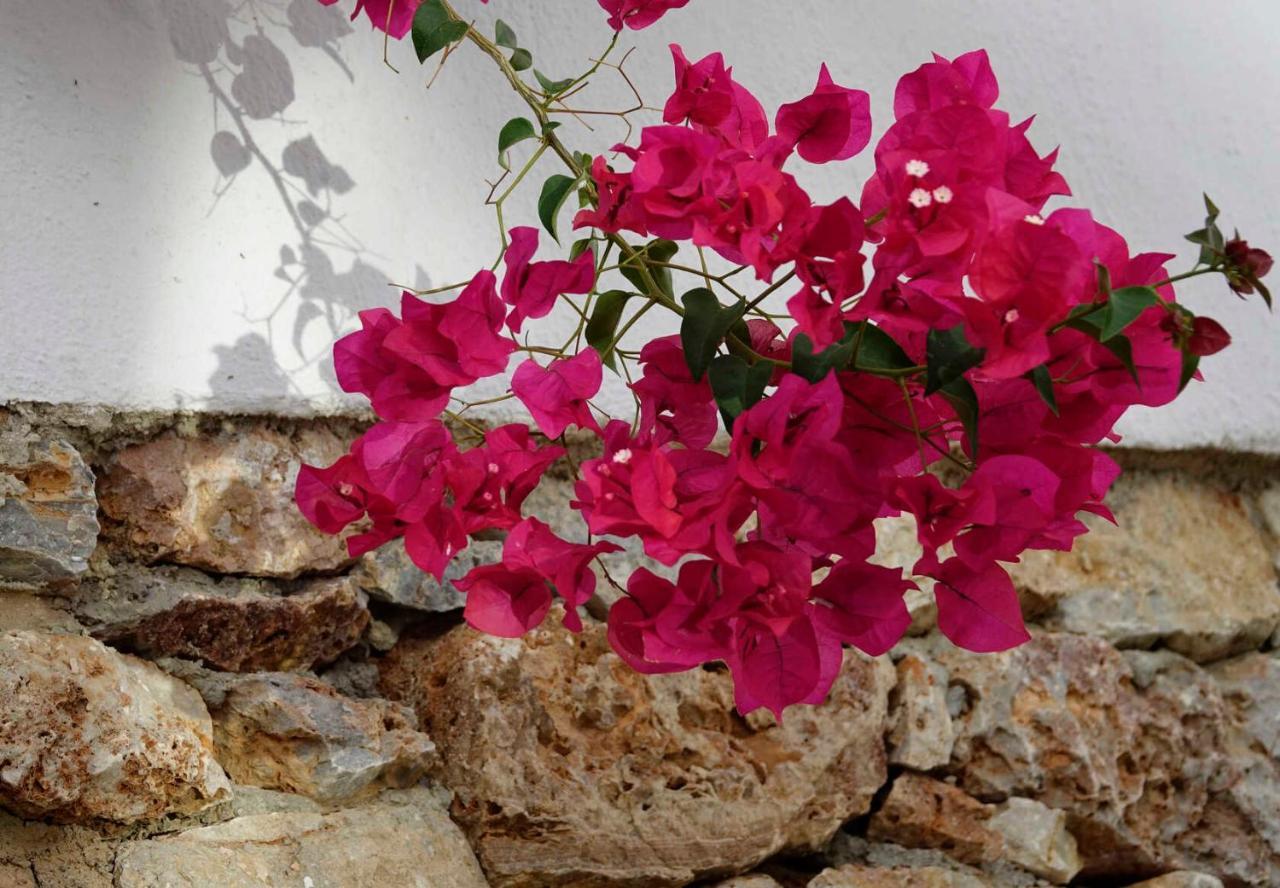 Hotel Meltemi Folégandros Exterior foto